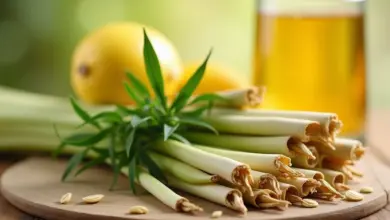 citronová tráva účinky a využití v kuchyni – Citronová tráva – účinky na zdraví a inspirace pro kuchyňské využití