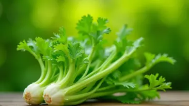 řapíkatý celer pěstování a využití – Řapíkatý celer: kompletní průvodce pěstováním a využitím
