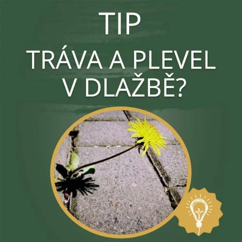 Otázka: Jak se zbavit trávy a plevele v dlažbě?