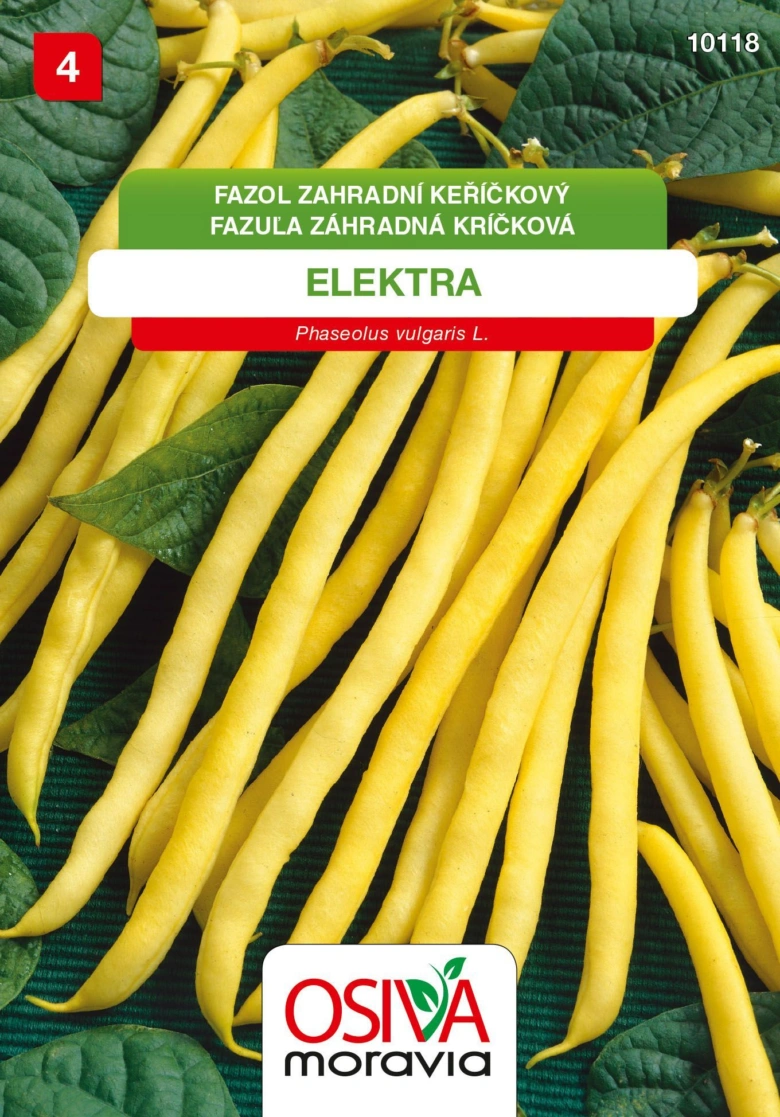 Žluté fazole keříčkové odrůdy Elekta na tmavém pozadí.
