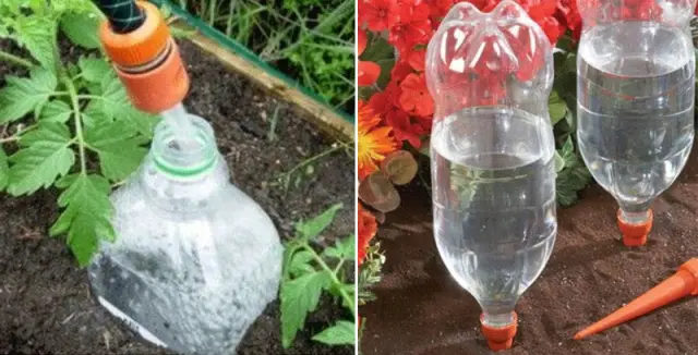 Zavlažování rostlin pomocí upravených PET lahví.