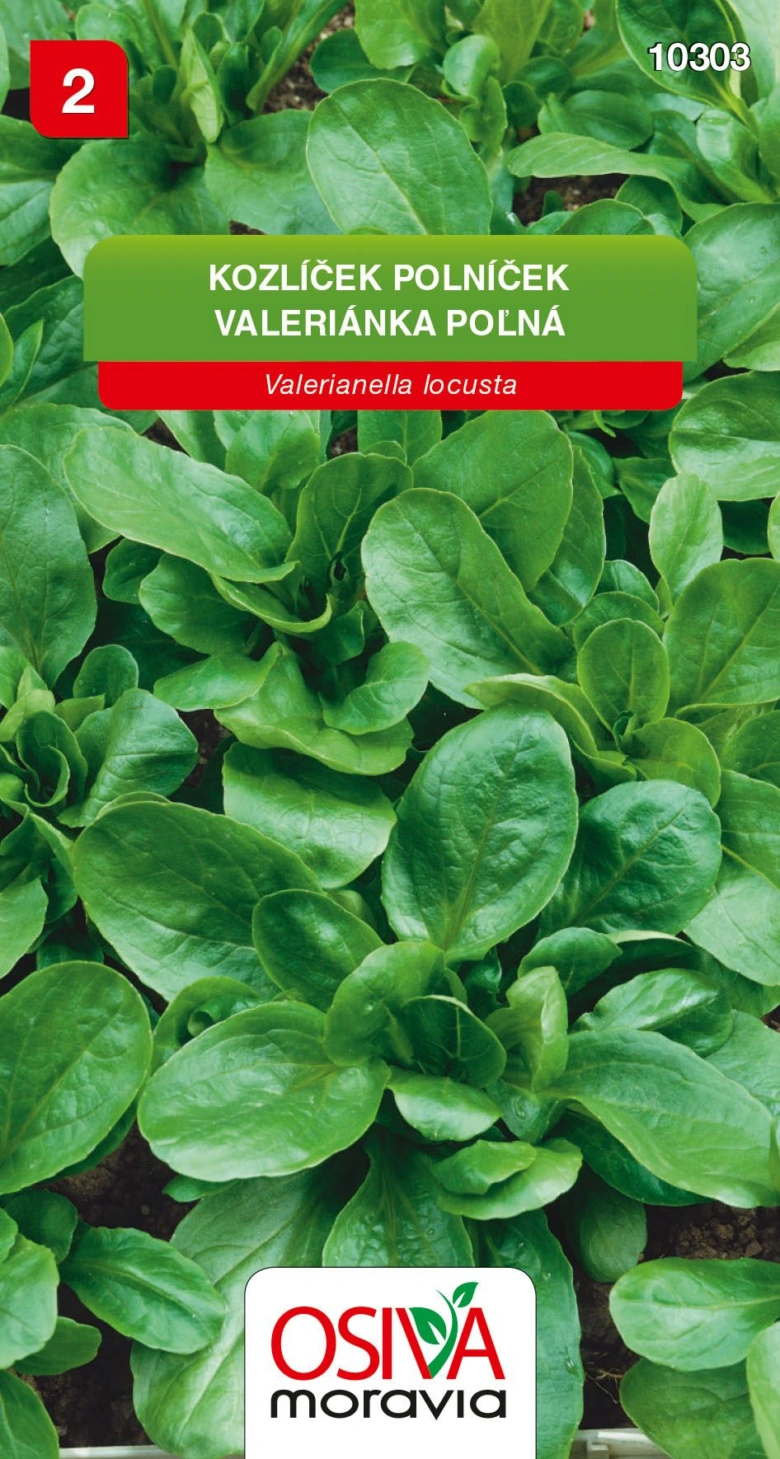 Valerianella locusta plants
