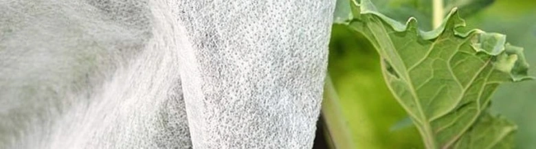 Ochranný textil pro rostliny před mrazem