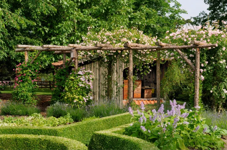 Krásná dřevěná pergola s plíživými růžemi v zahradě.