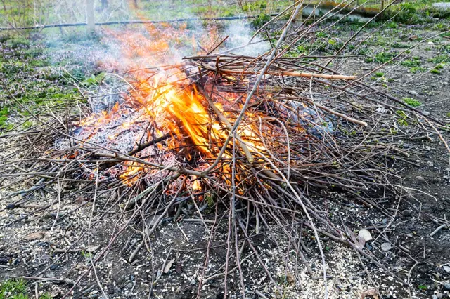 Burning branches fire pile