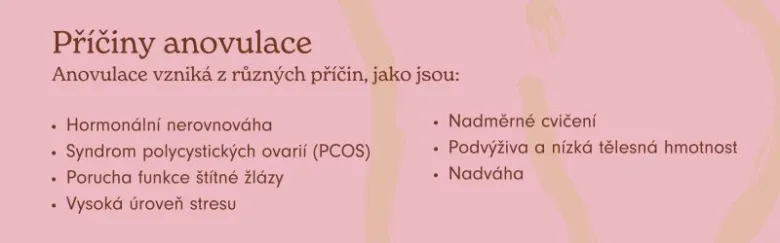 Příčiny anovulace: hormonální nerovnováha a další faktory