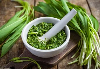 Medvědí česnek a jeho zelený pesto v mletí