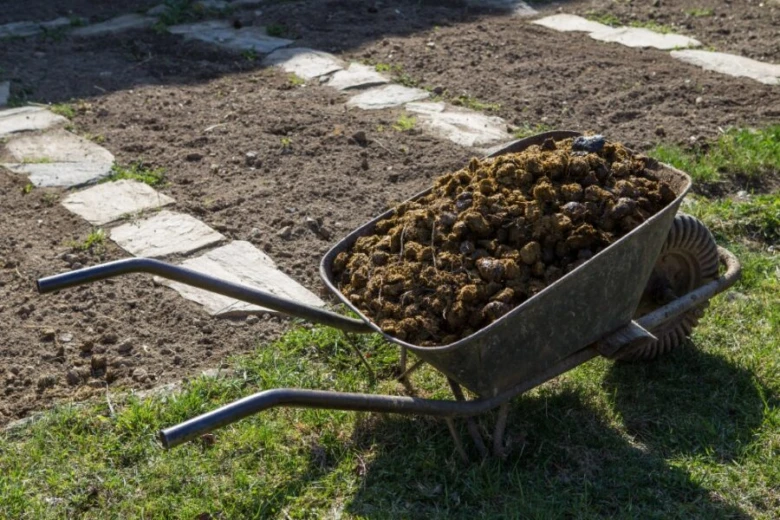 Kolo s kompostem pro podzimní hnojení zahrady