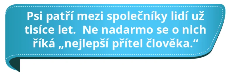 Pes je nejlepší přítel člověka po tisíce let.