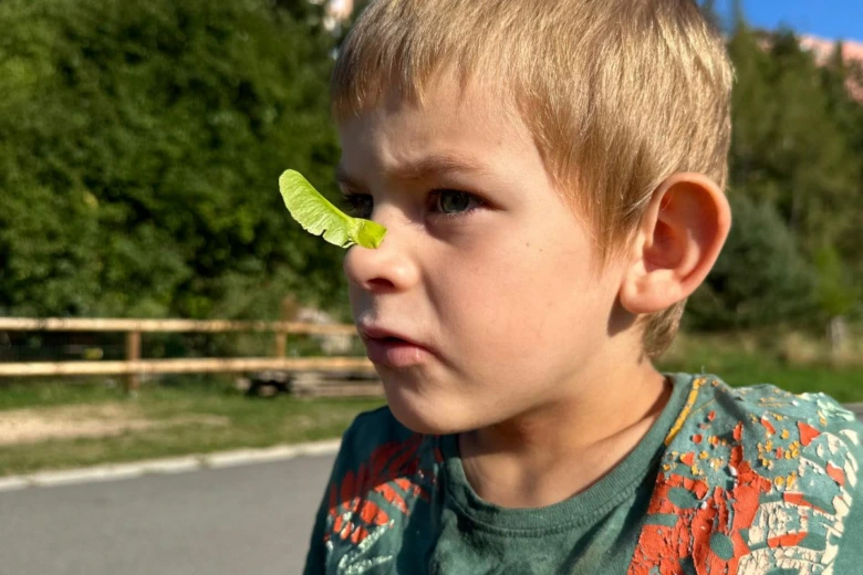 Dětský chlapec s listem javoru na nosu venku.