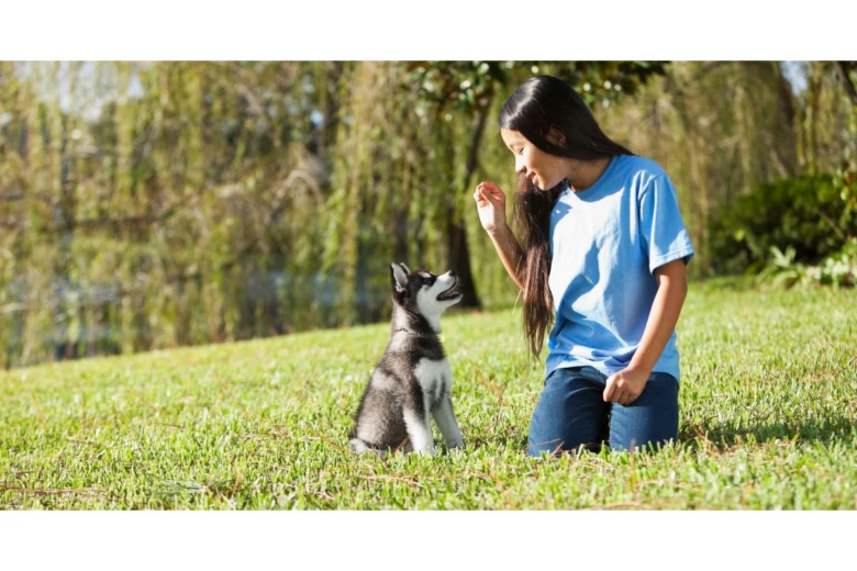 Girl training puppy outdoors