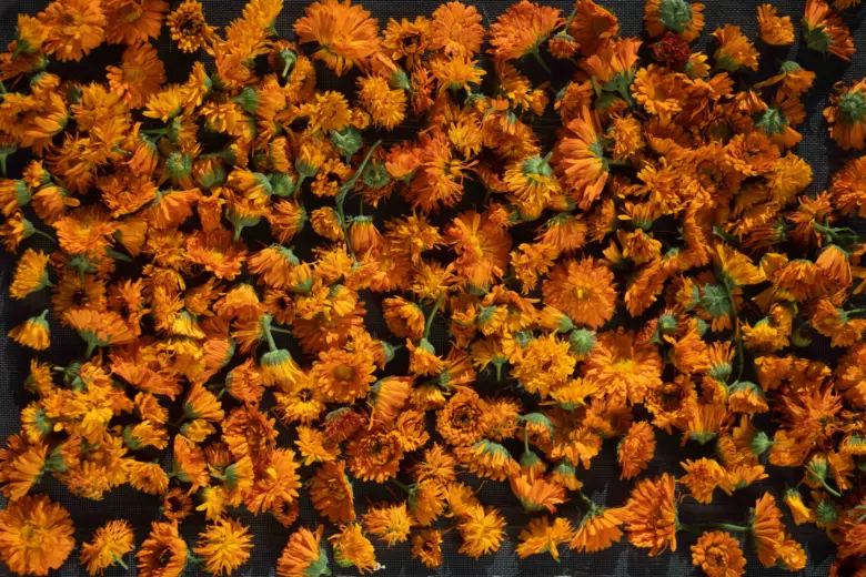Edible marigold flowers