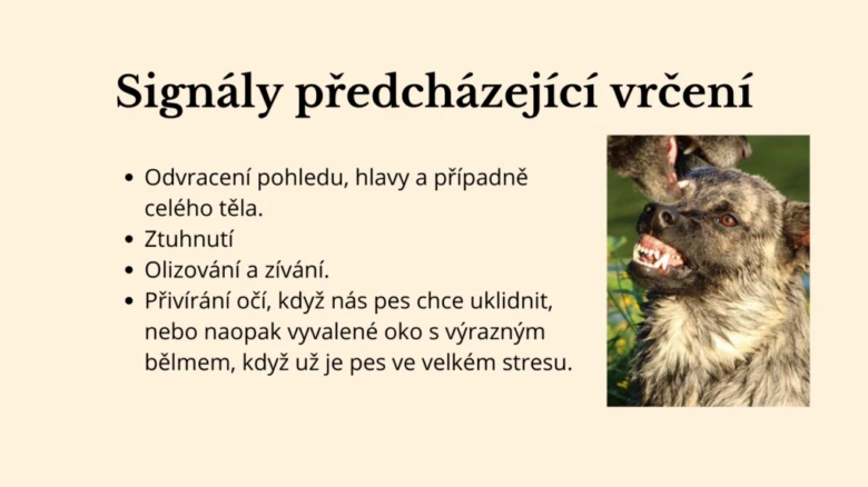Signály předcházející vrčení u psa