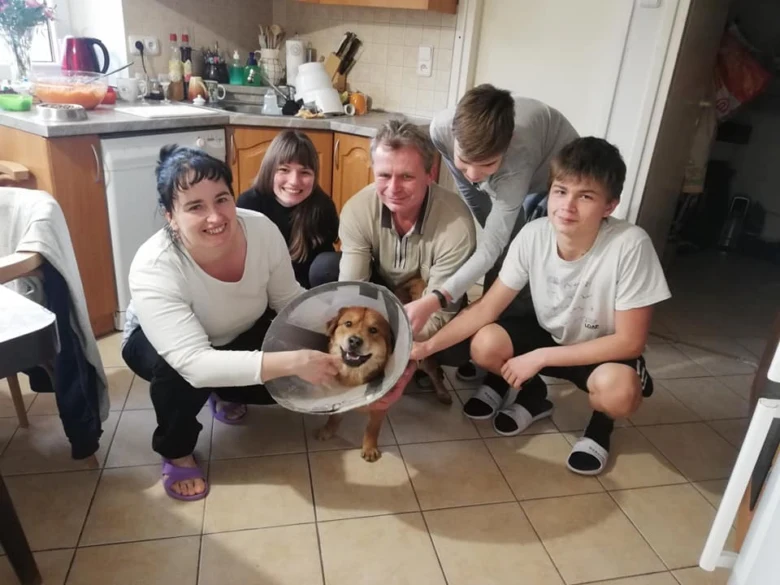 Rodina s přijatým psem v kuchyni, šťastní lidé.