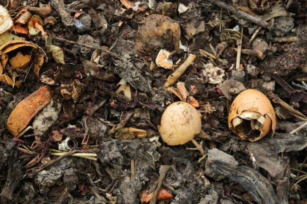 Skořápky vaječné skořápek se rozkládají mezi organickým materiálem ve zahradě.