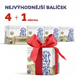 Dárek pro velkého bílého psa, dármě.