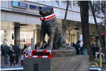 Bronzová socha psa Hachiho s červeno-bílým šátkem na ulici.