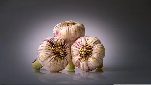 Tři hlavičky česneku na tmavém pozadí pro recept.