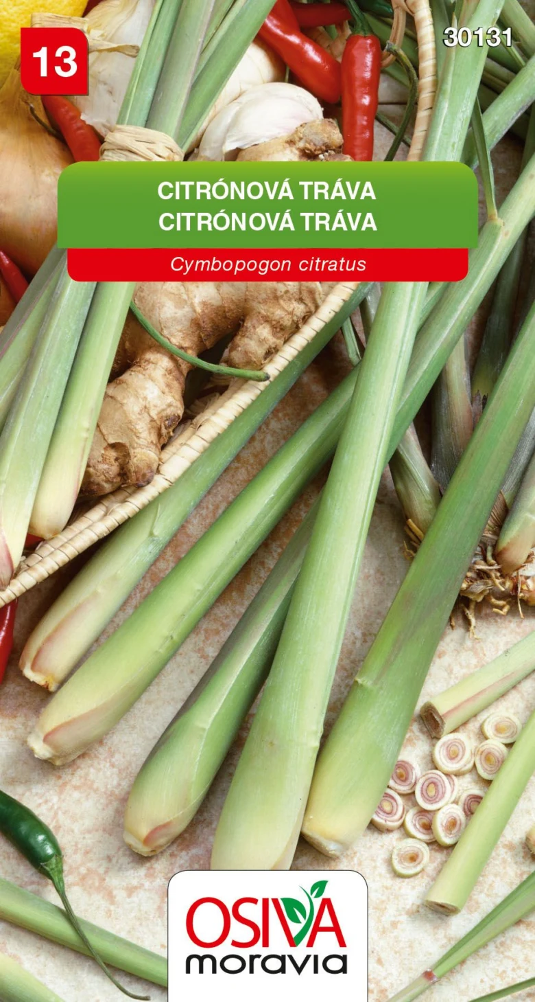 Čerstvá citronová tráva s kořeny, zázvorem a chilli papričkami