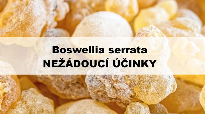 Kousky boswlie serraty na pozadí.