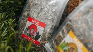 Dva sáčky sušené yerbamate mezi zelenou vegetací.