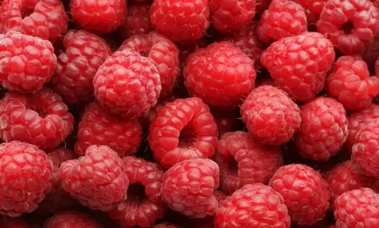 Čerstvé červené maliny plně zaplňující celý snímek.