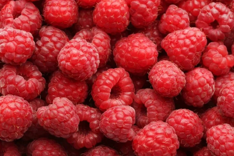 Čerstvé červené maliny plně zaplňující celý snímek.