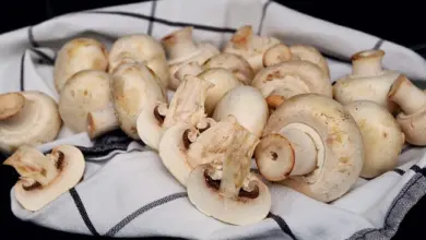 Čerstvé žampiony na bílém utěrce s tmavými pruhy.