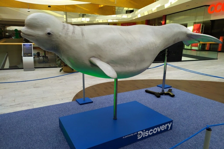Model bílého tuleňka na výstavě v nákupním centru.