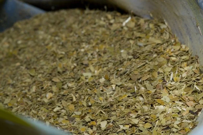 Suchá listová hmota yerbamate v nádobě